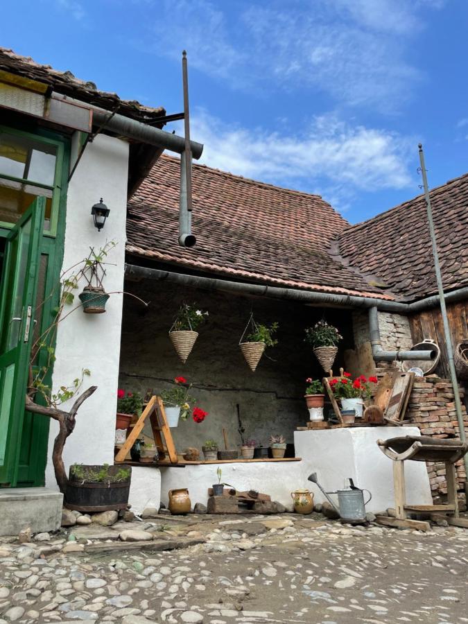 Saschiz 175 Guesthouse Exterior photo