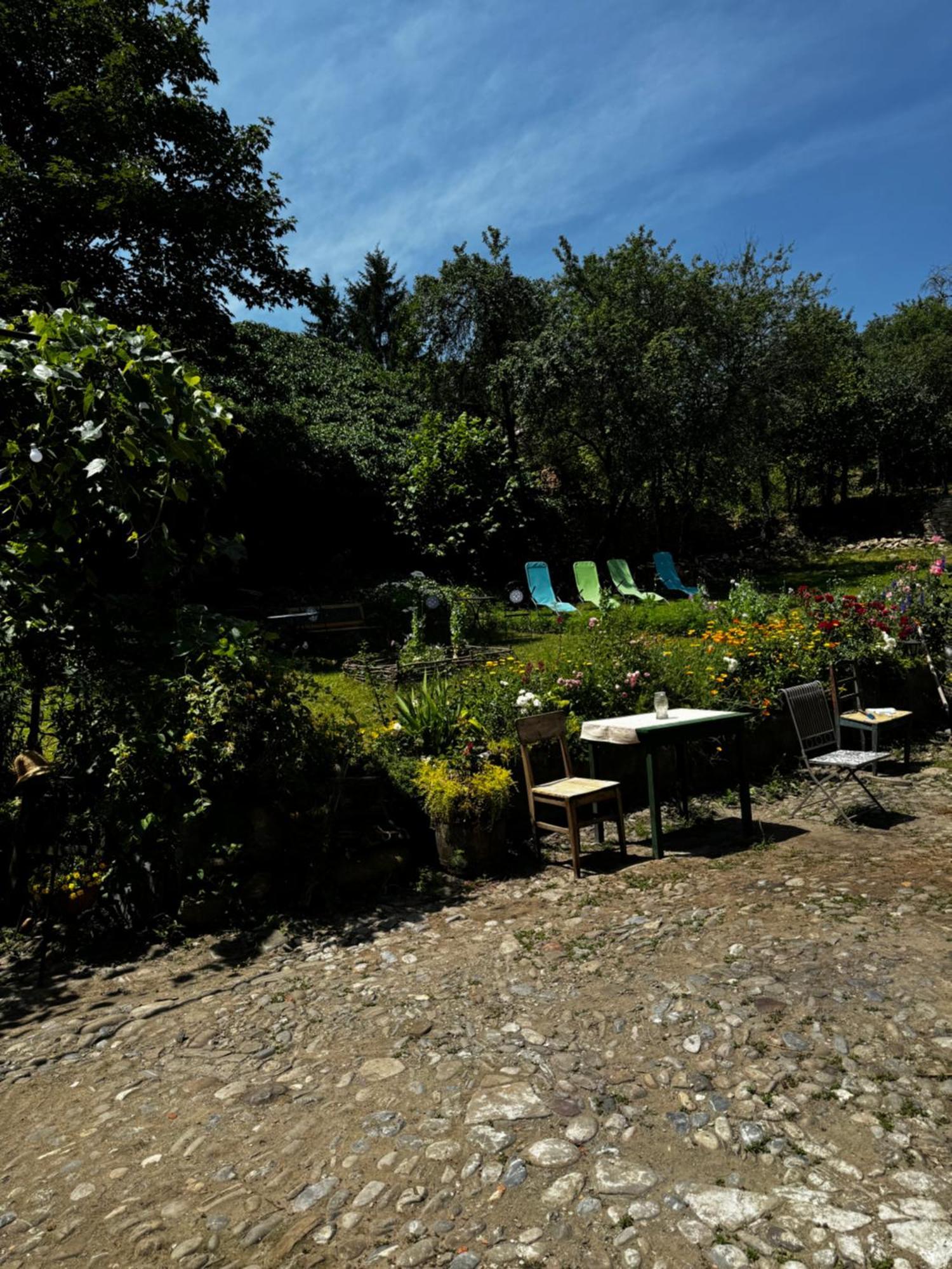 Saschiz 175 Guesthouse Exterior photo
