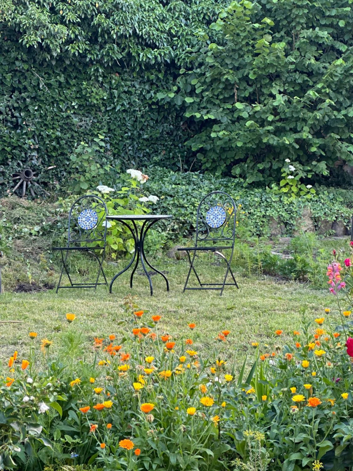 Saschiz 175 Guesthouse Exterior photo