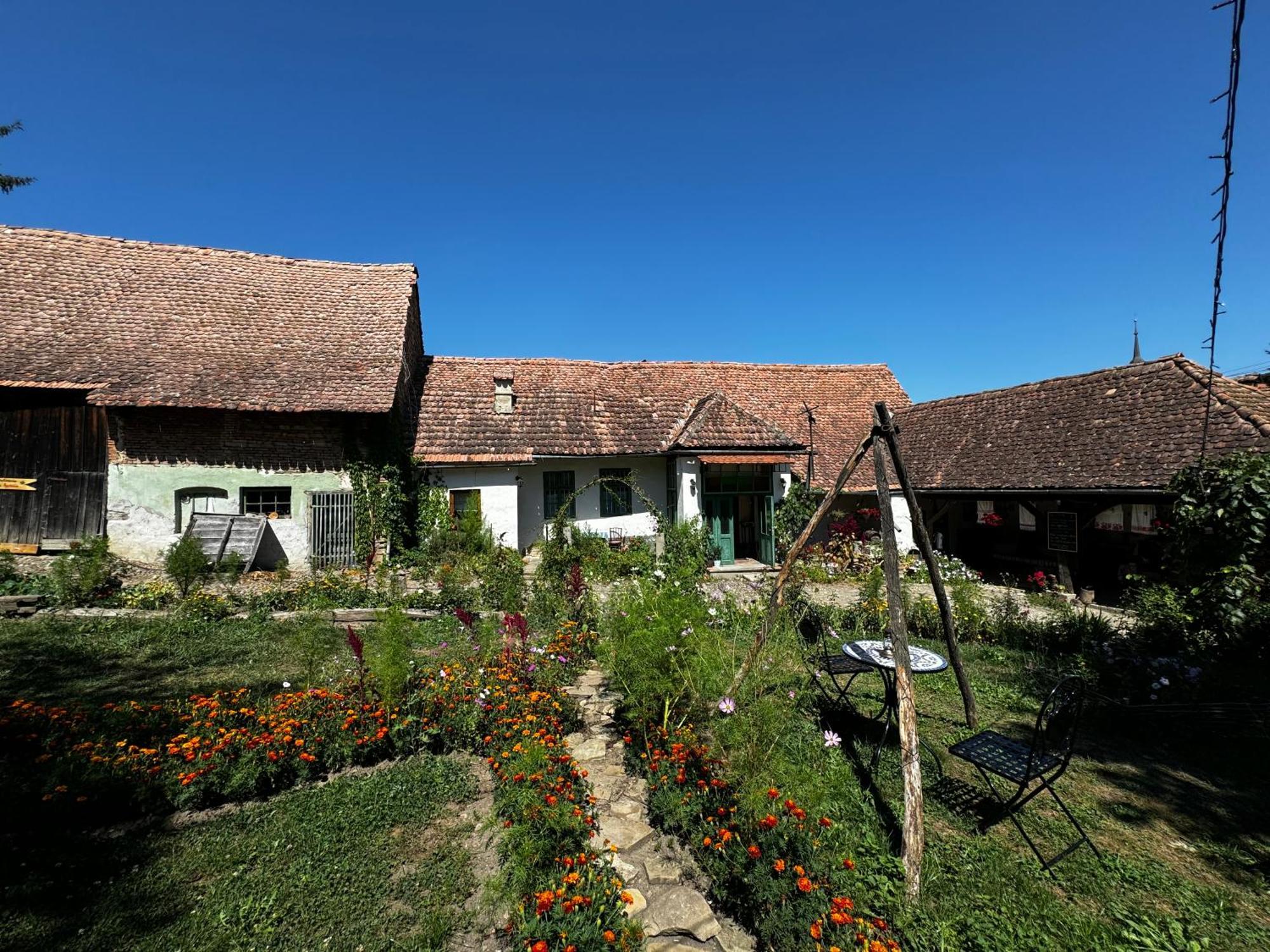 Saschiz 175 Guesthouse Exterior photo